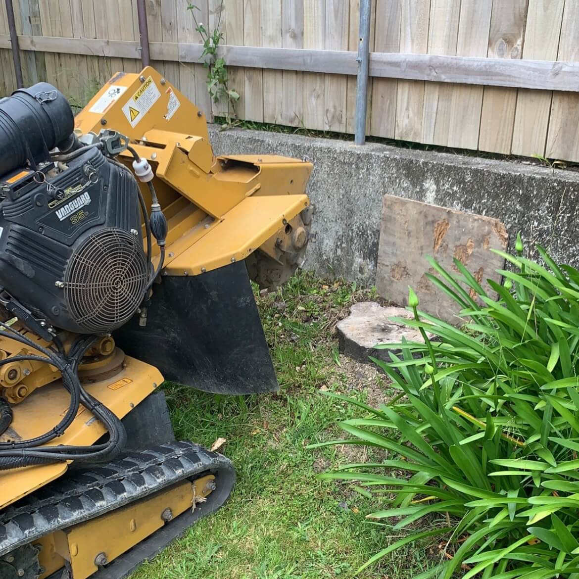 Stump grinding by Leaves and Trees